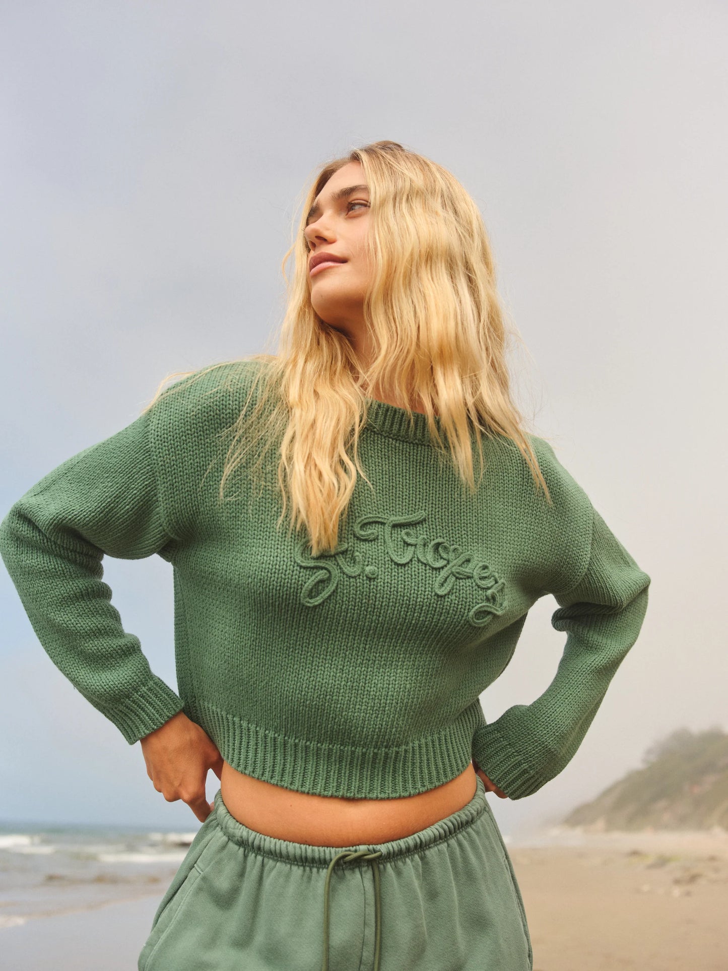 Sundry Crop Boatneck Sweater