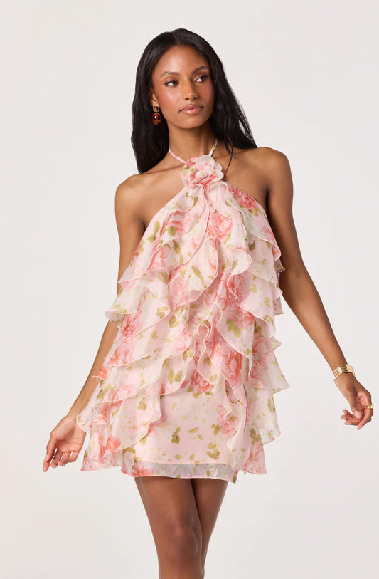 ASTR The Label Ofra Mini Dress