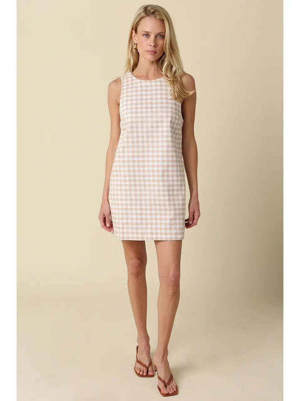 Rylie Gingham Open Back Mini Dress
