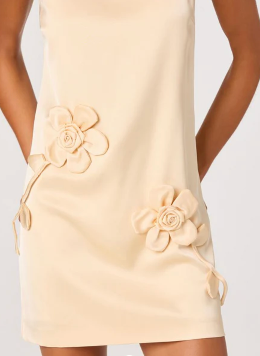 ASTR The Label Marigold Dress